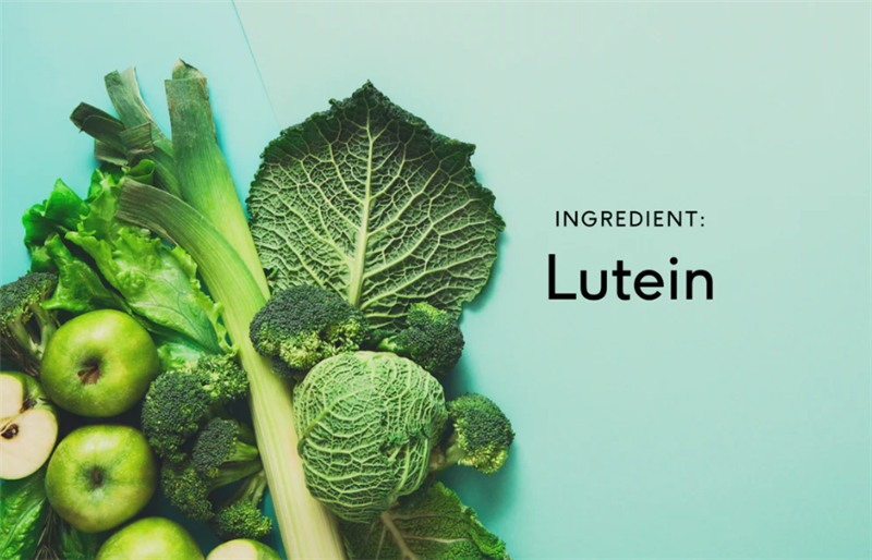 Giải mã tác dụng của Lutein trong việc hỗ trợ mắt sáng khỏe